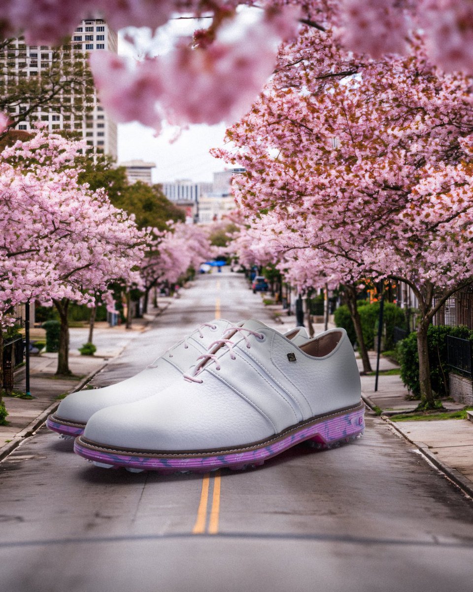 GolfOnline's tweet image. The fairway’s in bloom 🌸

Limited Edition FootJoy Spring Bloom shoes are here

Step into the LEGENDS series now

LINK IN BIO 👆

#FootJoyLEGENDS #SpringBloom #GolfGear