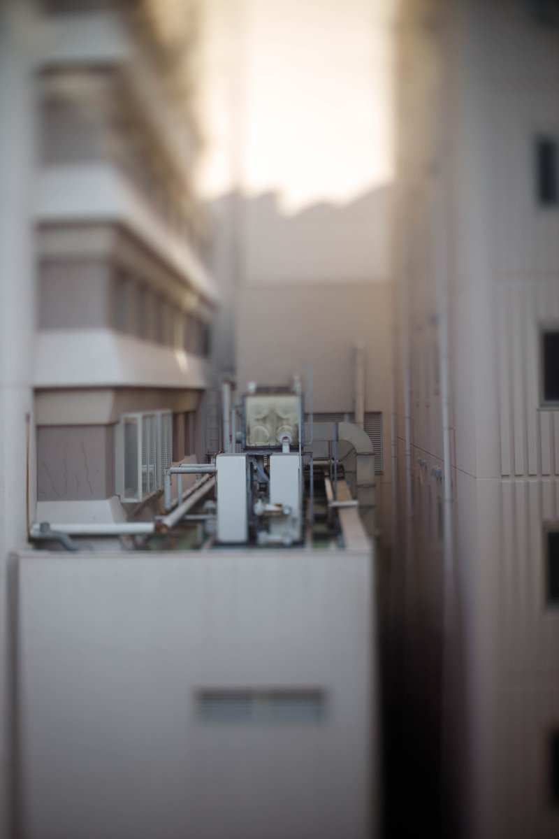 ミニチュアに撮れるレンズすごい！
レンズ　TTArtisan Tilt 50mm f/1.4