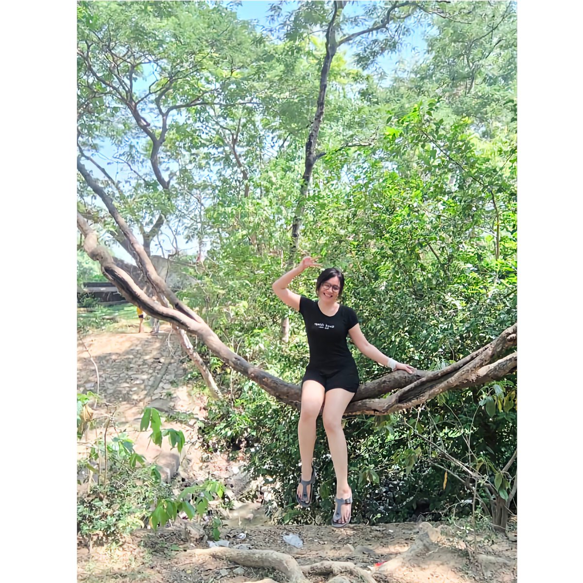 မြက်ခင်းပေါ်တွေကြီးအိပ်တယ်မထင်နဲ့ အပင်ပေါ်လဲတက်အိပ်သေးတာ😂😂😂