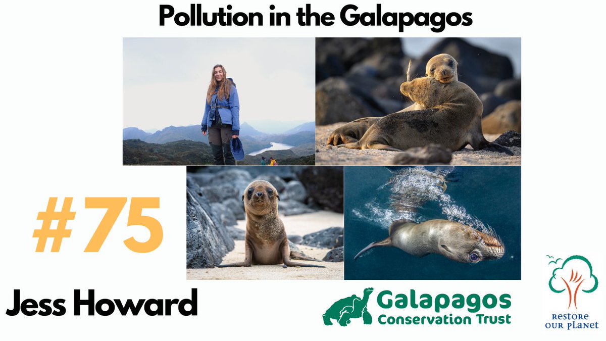 How did the #Galapagos become so polluted? 

youtube.com/watch?v=zO2oaH…

We speak with Jessica Howard from the <a href="/galapagossip/">Galapagos Conservation Trust</a> who shares with us their brilliant work across a range of areas to tackle #pollution.

#RestoreOurPlanetPodcast #ConservationOptimism