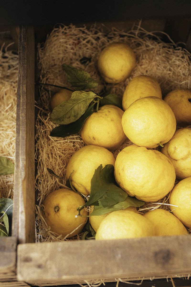 senineldar's tweet photo. Provence vibes 🍋 https://t.co/KbajVGWEjb