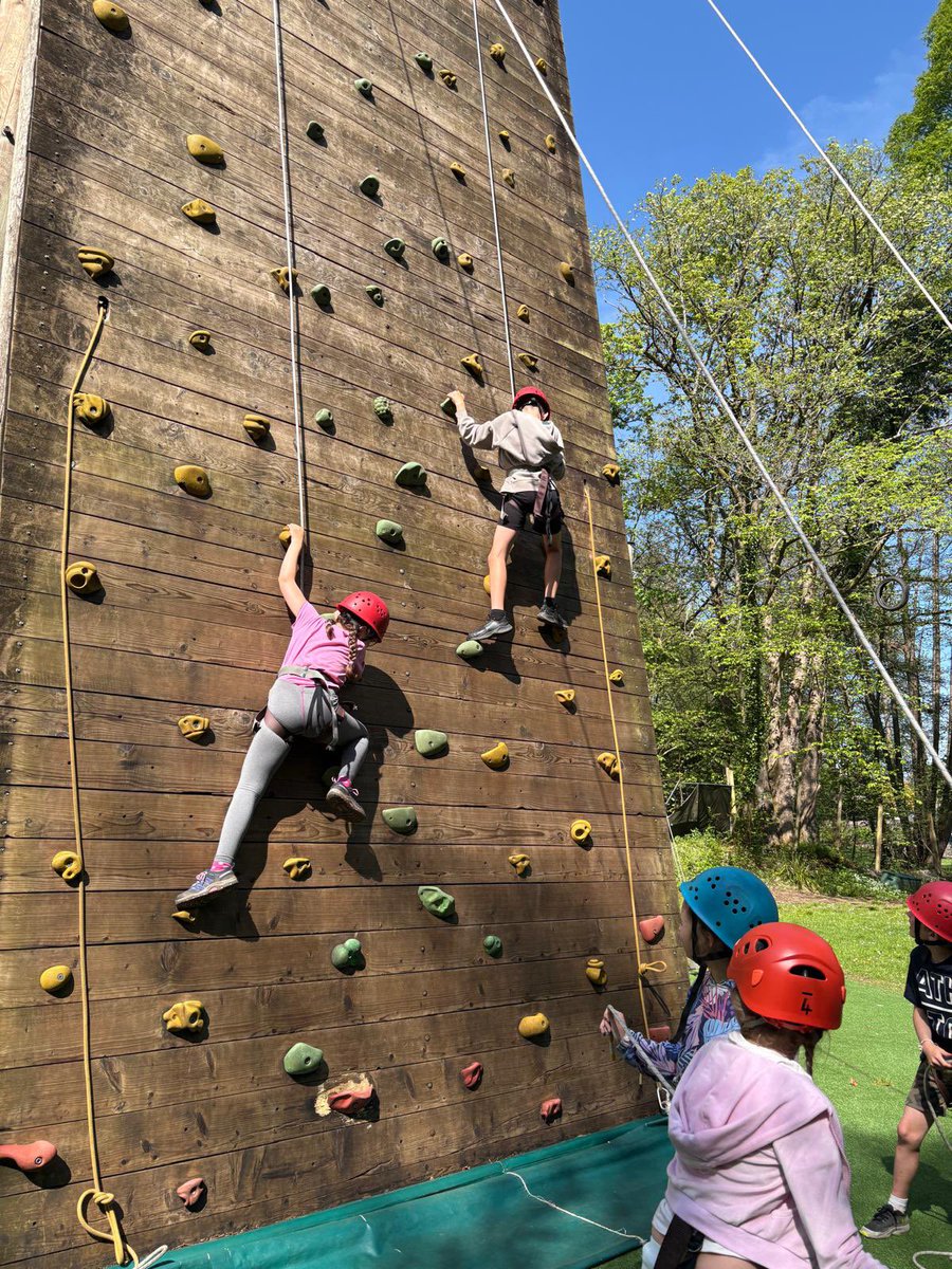 TheMeadowsPS's tweet photo. Morning of wall climbing - another beautiful day! ☀️🧗‍♂️ https://t.co/9feB7eoSuG