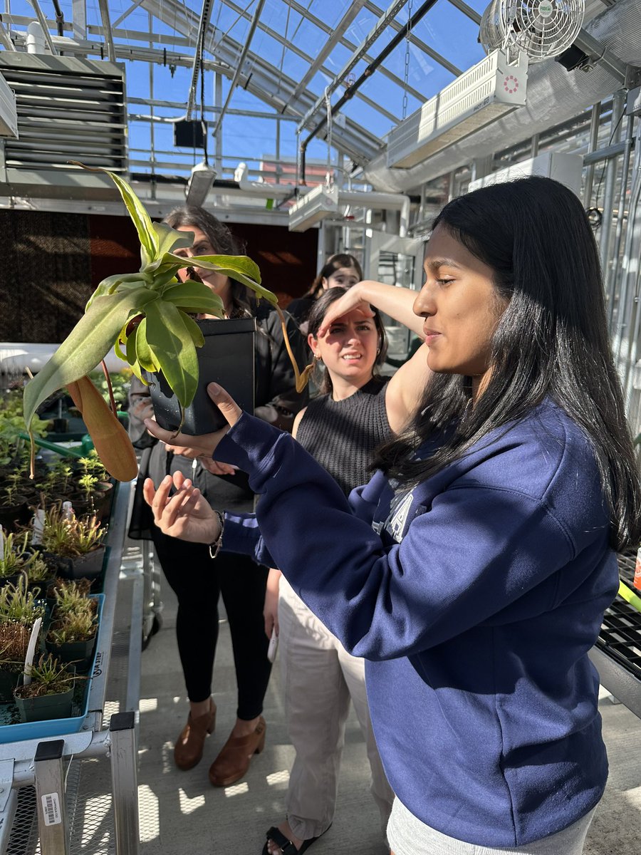 Priya Patel Ma (@priyapatelma) on Twitter photo These awesome students also gave impromptu tours of our Sustainability Research Center — sharing great explanations of our aquaponics setup, introducing our tilapia, fascinating carnivorous plants, and more! <a href="/DrAPease/">Adam Pease</a> <a href="/ski626/">Dr. Sandra K. Sepe</a> <a href="/RonGamma/">Ron Gamma, Ed.D.</a>
#WeAreChappaqua These awesome students also gave impromptu tours of our Sustainability Research Center — sharing great explanations of our aquaponics setup, introducing our tilapia, fascinating carnivorous plants, and more! <a href="/DrAPease/">Adam Pease</a> <a href="/ski626/">Dr. Sandra K. Sepe</a> <a href="/RonGamma/">Ron Gamma, Ed.D.</a>
#WeAreChappaqua