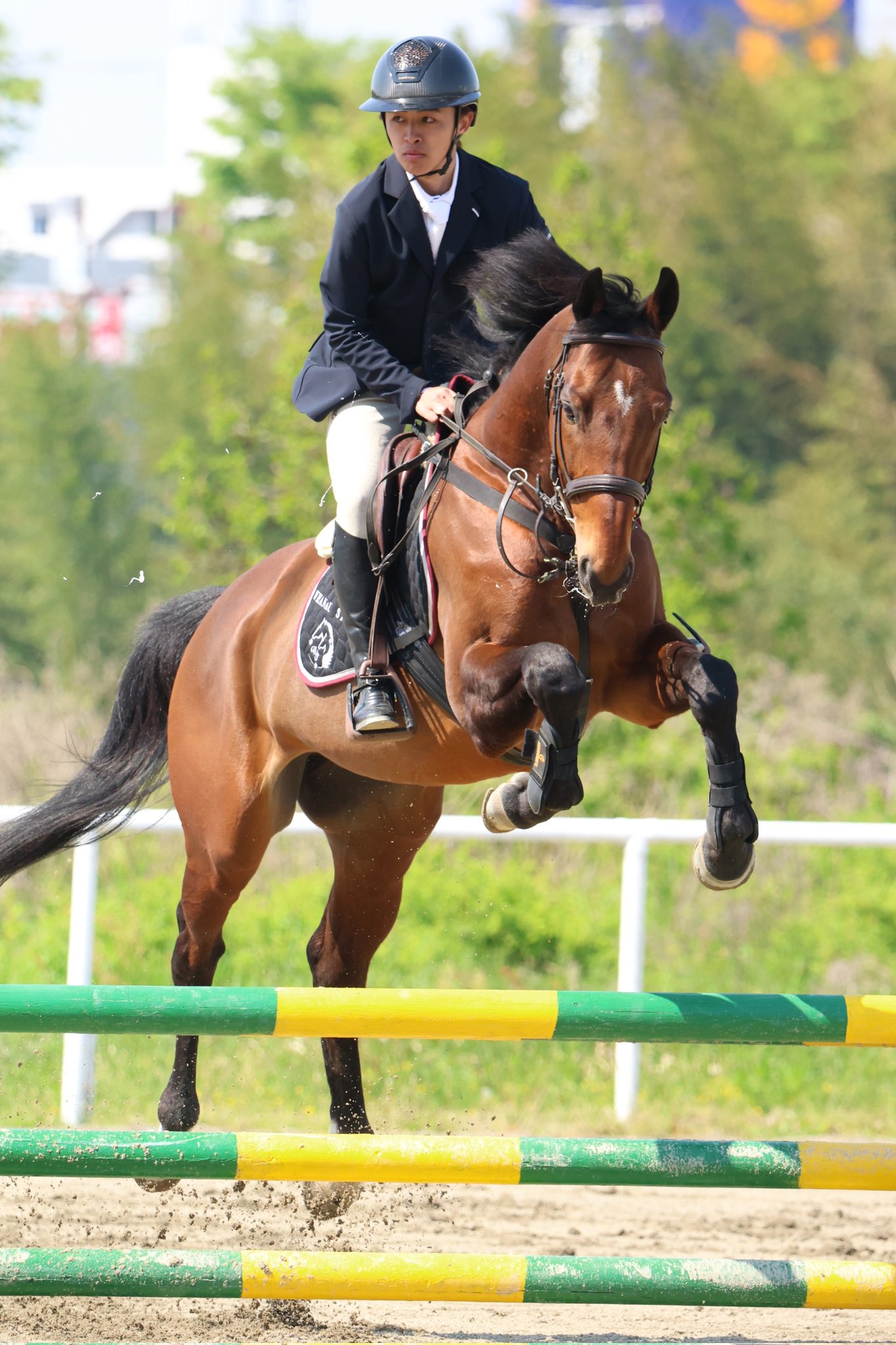 会馬公式 Whanau Stable (@WhanauS) / X