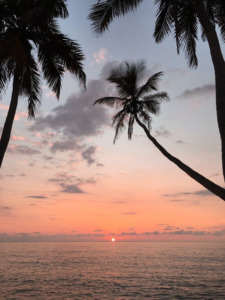Aesthetics (@aestheticspost_) on Twitter photo 