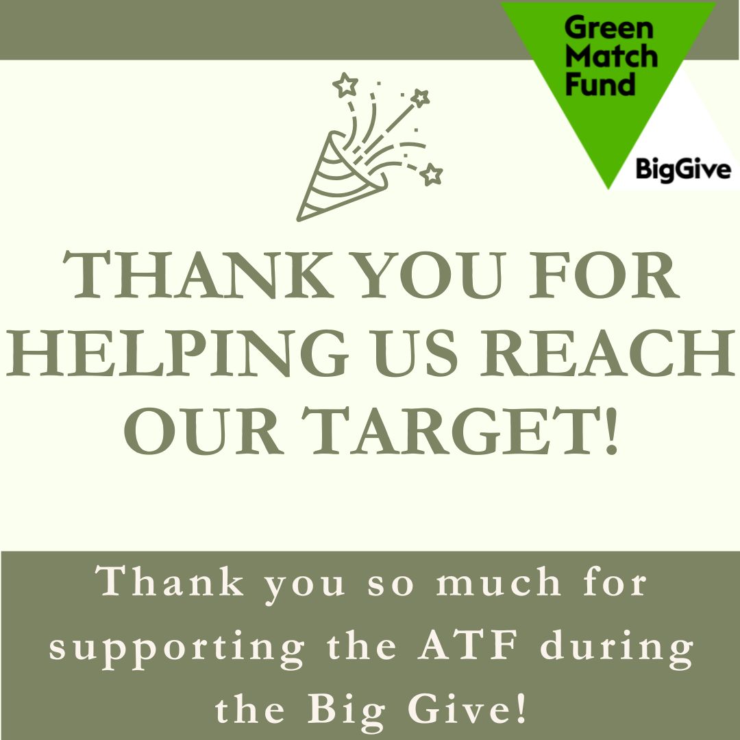 You did it!

Thanks to your donations, we have successfully raised £20,258.27 in donations, match funds and gift aid, giving people opportunities to learn about and visit ancient trees. 

Thank you for your generosity.

#GreenMatchFund