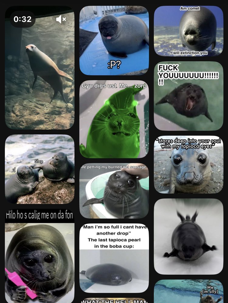 yumeMira_gyu's tweet image. ‼️
if i have used your pictures in my posts on PINTEREST or X please contact me if you want me to delete them.
もし私があなたの写真をPINTERESTまたはXの投稿に使用した場合、削除してほしい場合は私に連絡してください。ご不便をおかけして申し訳ございません
#sealtwt #seal #アザラシ