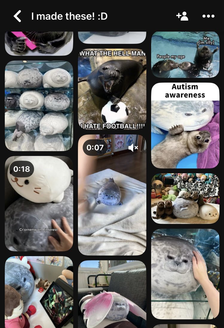 yumeMira_gyu's tweet image. ‼️
if i have used your pictures in my posts on PINTEREST or X please contact me if you want me to delete them.
もし私があなたの写真をPINTERESTまたはXの投稿に使用した場合、削除してほしい場合は私に連絡してください。ご不便をおかけして申し訳ございません
#sealtwt #seal #アザラシ