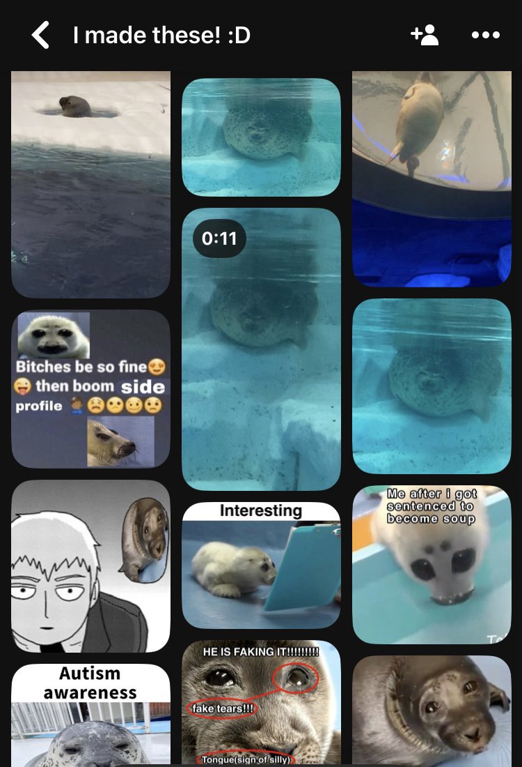yumeMira_gyu's tweet image. ‼️
if i have used your pictures in my posts on PINTEREST or X please contact me if you want me to delete them.
もし私があなたの写真をPINTERESTまたはXの投稿に使用した場合、削除してほしい場合は私に連絡してください。ご不便をおかけして申し訳ございません
#sealtwt #seal #アザラシ