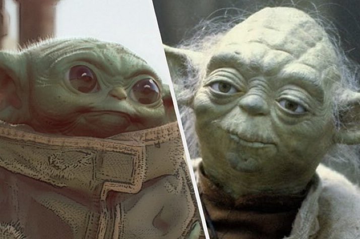 Prof. on website vs Prof. in person