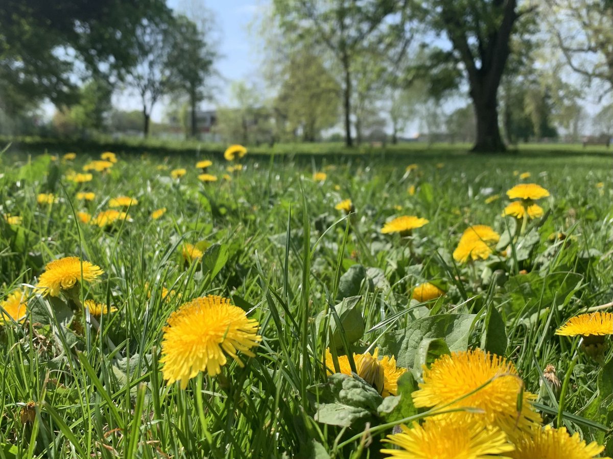 Jo Woolley tweet media