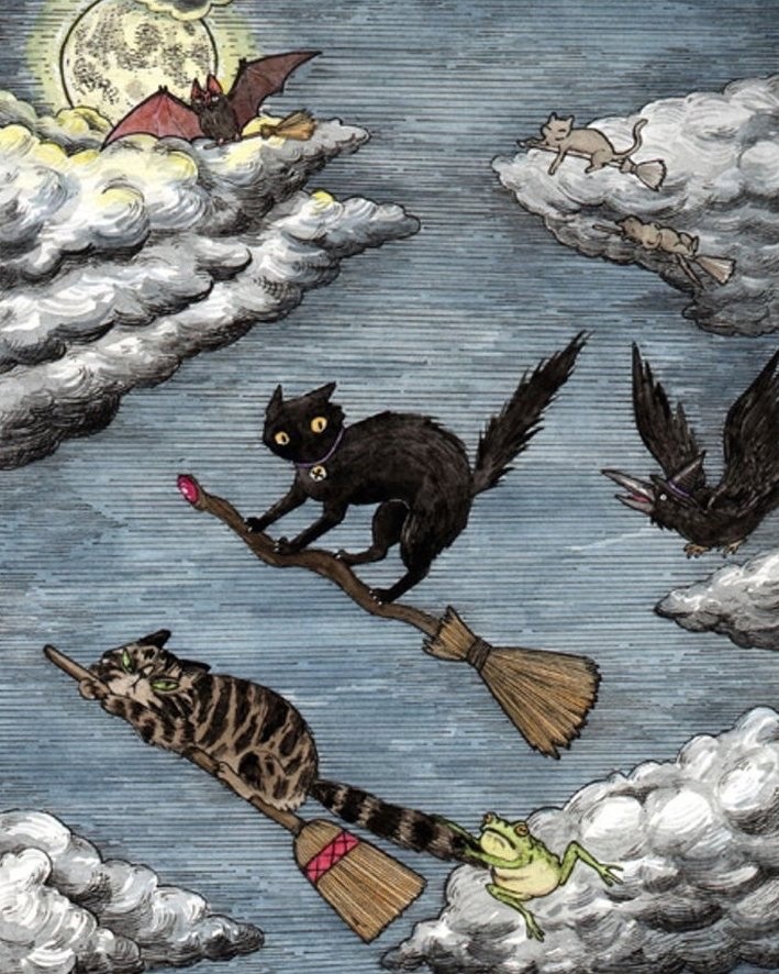NiftyBuckles's tweet photo. #FairyTaleTuesday ✨ #FairyTaleFlash
Let’s sweep into the magic of #Broomlore 🧹for #Walpurgisnacht!
On April 30th, legend says witches mount their besoms— 🧹homemade brooms crafted from ash, birch, or hazel—and soar across starlit skies to the Brocken mountain, gathering in wild sabbats. But the humble broom’s power is woven even deeper into folklore…
🧹Brooms weren’t just for flight!
In European villages, a broom was placed across the door to bar unwanted magic, and crossing a threshold with one was bad luck. Some believed a broom bristling upwards by the hearth would ward off witches, while upside-down brooms hid you from unfriendly spirits.
Witches’ brooms (besoms) were often anointed with “flying ointments” of secret herbs. Their shape—birch twigs bound to an ash handle with willow—mirrors the Triple Goddess and invokes protection, renewal, and fertility.
In old wedding rites, jumping the broom symbolized magical blessings and cleansing for the new couple.
During Walpurgis Night, broom lore warns: never leave your broom outside, or a witch may steal it for her midnight flight!
Some tales say witches disguised as hares or cats would sneak into homes for brooms, or that the brooms themselves could come to life as enchanted helpers or mischief-makers.
When you sweep your doorstep tonight, be sure to sweep evil out and invite in good fortune.🌙✨🧹
🔥#WalpurgisNight #FolkMagic 🪄🧹#Bookchatweekly 📚 #Caturday 🐈⬛
🎨by Kat Philbin 🐈⬛🧹