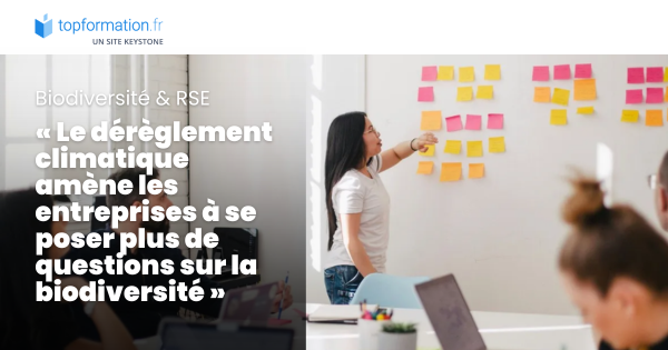 Topformation tweet media