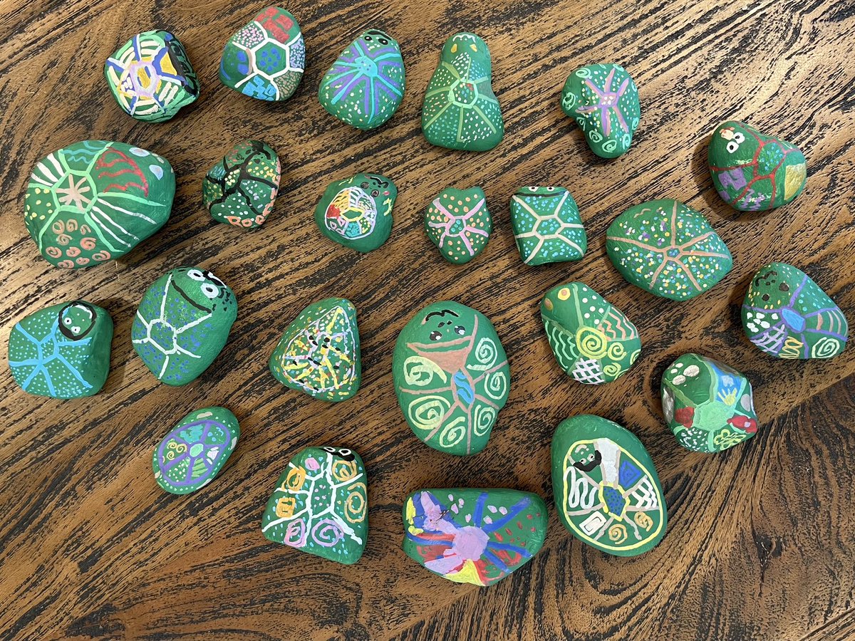 Thank you to former Village student, and #MVSRoom21 alumni, Dallas for coming in today to teach us about the Diamondback Terrapin. Thank you for raising awareness about conservation efforts and teaching us what we can do to reduce human impact.