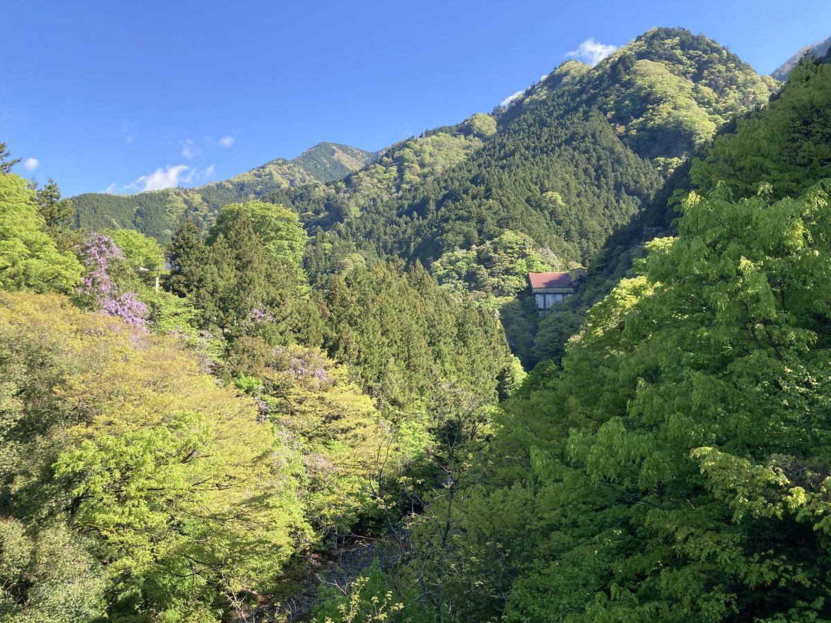 新緑の奥多摩…😉氷川渓谷