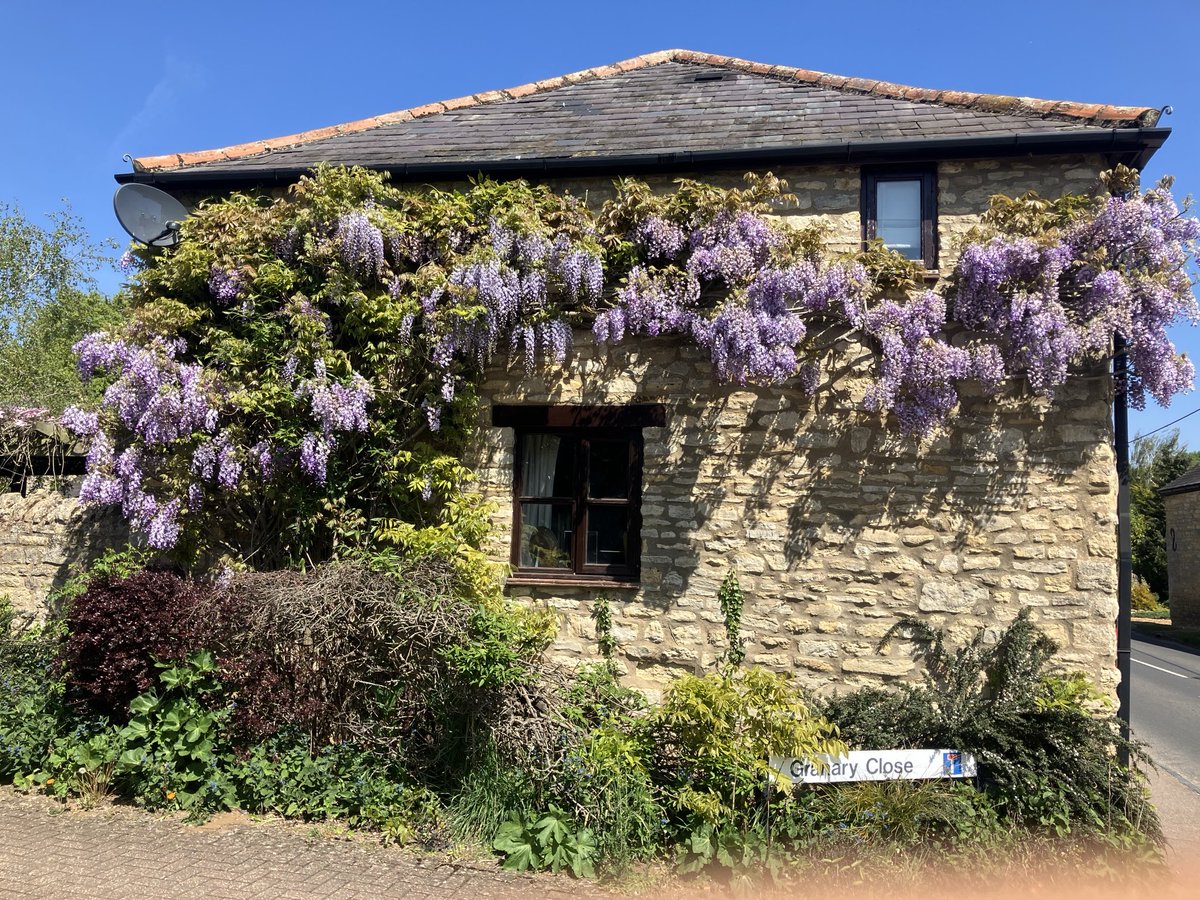 mark henshaw tweet media