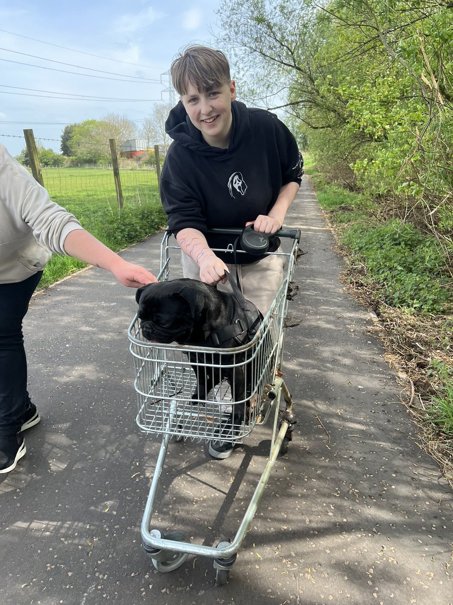 Natalie (@missg_iwbs) on Twitter photo When it all got too much for <a href="/BertramFrug/">Bertram Frug</a> on our walk today this pupil came up for a way for him to travel in style 🛒
<a href="/IWBSFalkirk/">Inclusion&Wellbeing</a> <a href="/outreach_iwbs/">SharonHutchinsonDHT</a> <a href="/Mr_Hutch75/">Mr Hutchinson</a> When it all got too much for <a href="/BertramFrug/">Bertram Frug</a> on our walk today this pupil came up for a way for him to travel in style 🛒
<a href="/IWBSFalkirk/">Inclusion&Wellbeing</a> <a href="/outreach_iwbs/">SharonHutchinsonDHT</a> <a href="/Mr_Hutch75/">Mr Hutchinson</a>