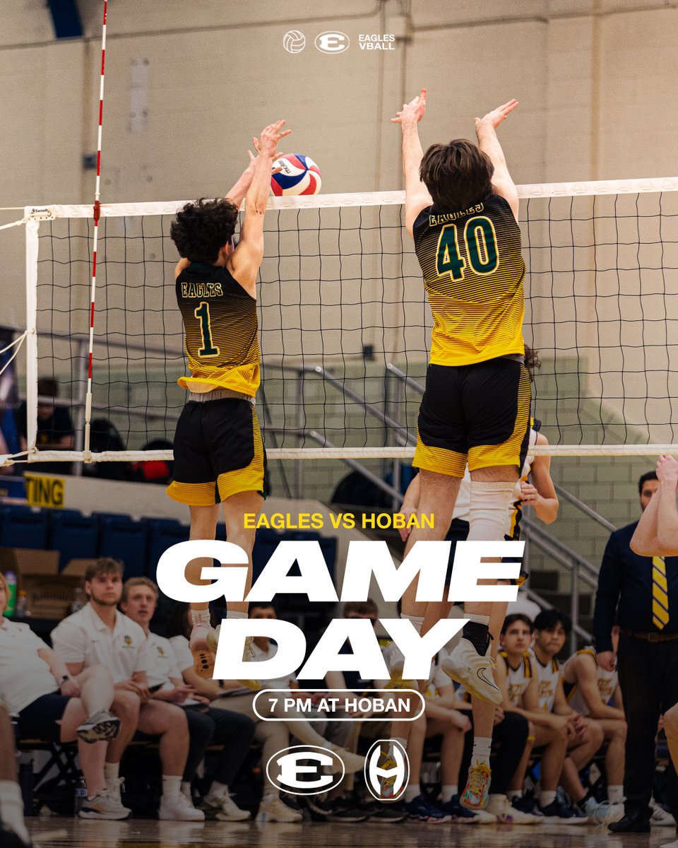 Gameday in Akron!

🆚 Archbishop Hoban
⏰ 7:00 PM
📍 Archbishop Hoban HS

#EaglesVB #EdsUp