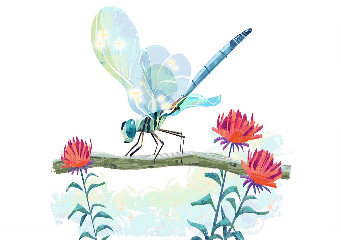 paula_hsu8's tweet image. Insect illustration.