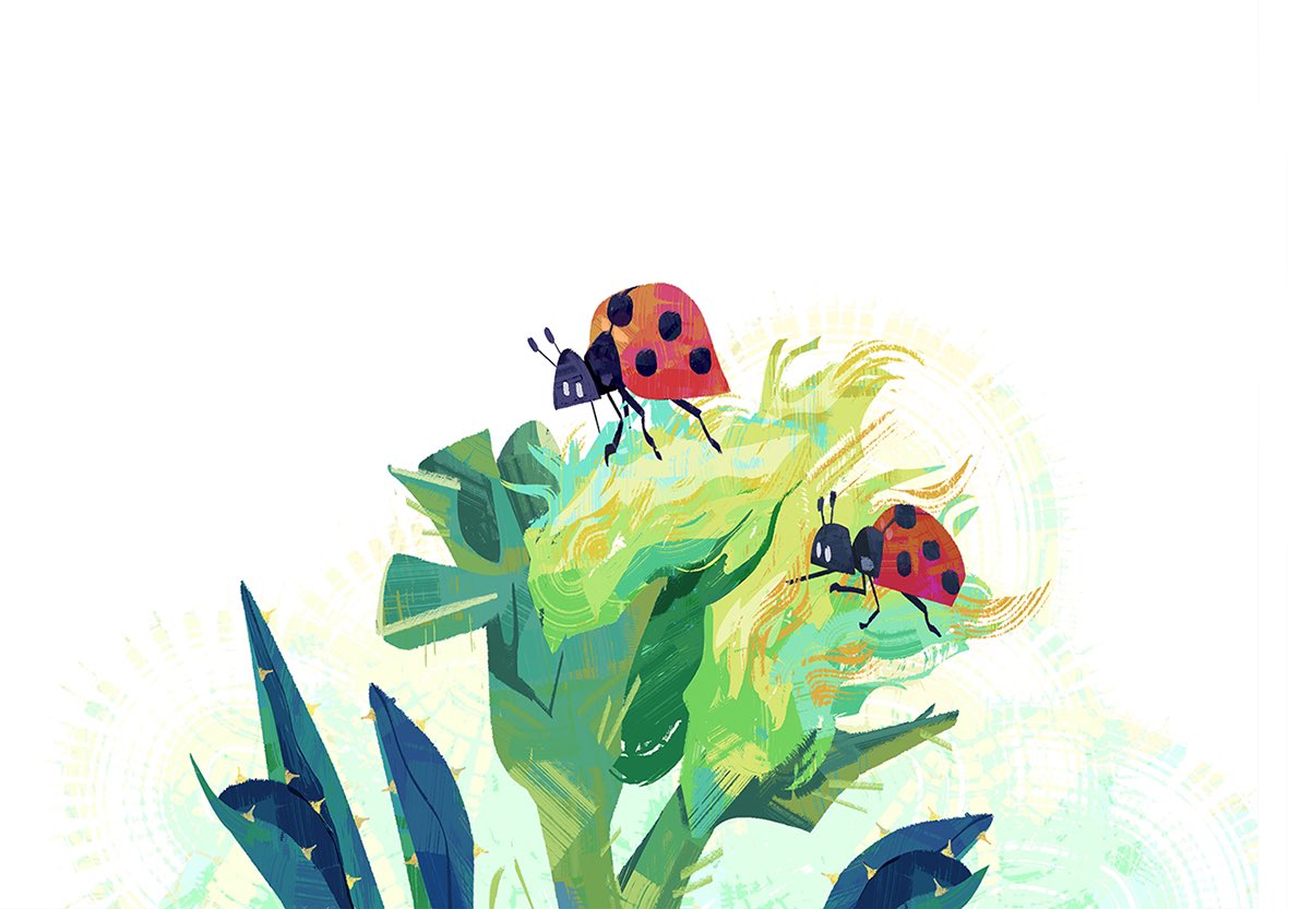 paula_hsu8's tweet image. Insect illustration.