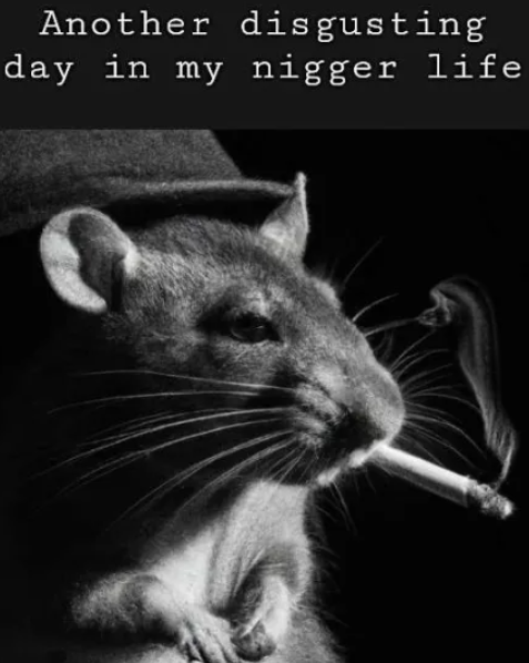 terrify ♰ (winner arc) (@terrifybank) on Twitter photo 
