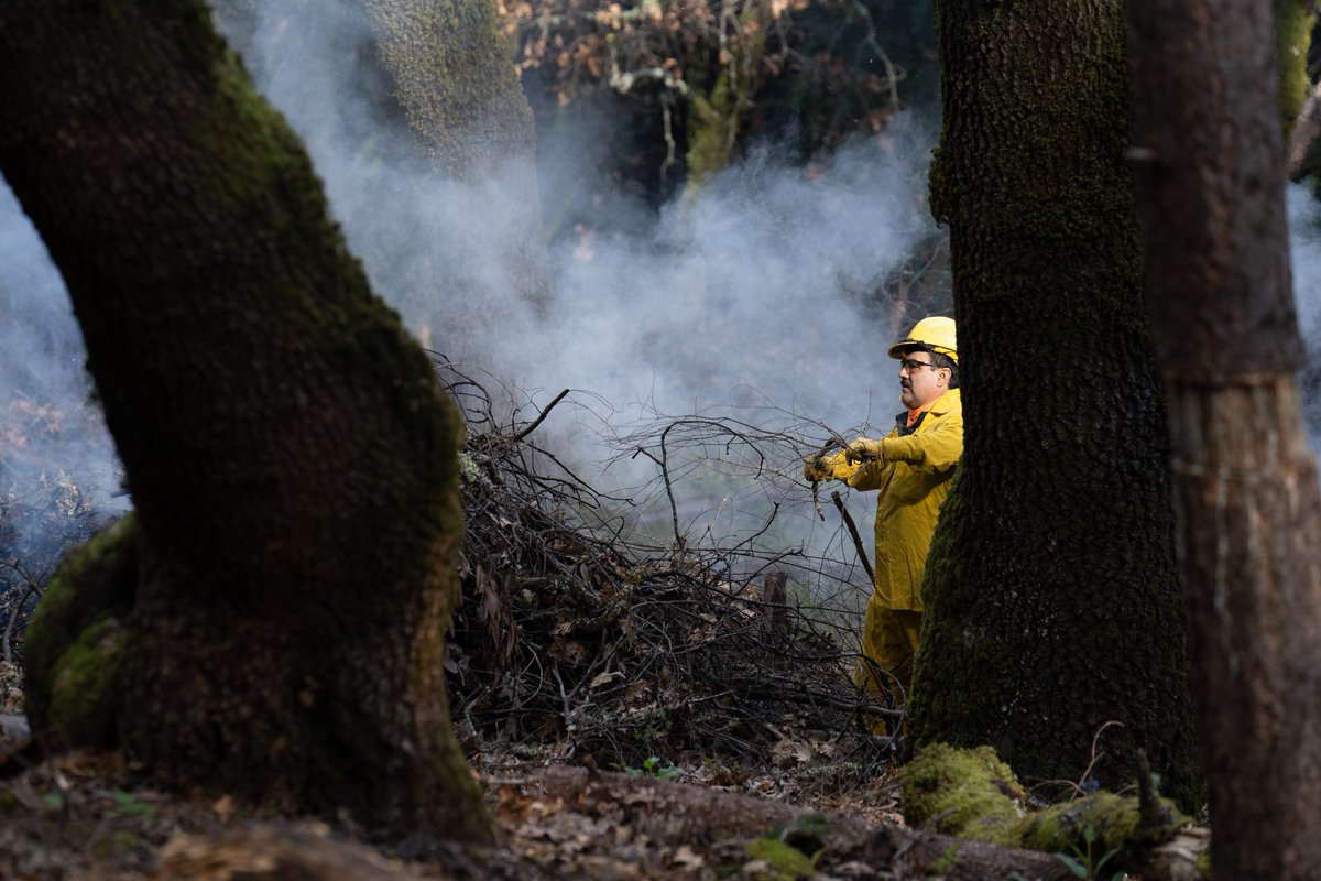 *PILE BURNING ON MT. TAM WATERSHED THE WEEK OF APR. 29*
- Near West Peak at former Mill Valley Air Force Station
- Will continue for additional days this week if conditions are right. Smoke coming from the area may be visible during this work.
Learn more: marinwater.org/WatershedResil…