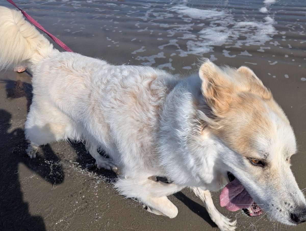 Mom's got a total beach go-er in the family down here