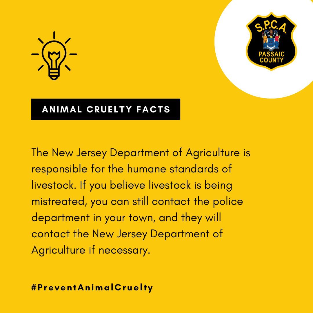 Awareness is the first step to prevention. As Animal Cruelty Prevention Month wraps up, here are some facts about animal cruelty. Together, we can make a difference for animals in Passaic County. 🐾💙 #PreventAnimalCruelty #PCSPCA #AnimalWelfare