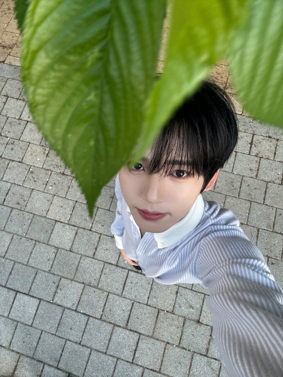 Jebe_Crafts's tweet photo. Spot the difference 🐰🌱
#제로베이스원 #ZEROBASEONE #ZB1 #ZB1fanart #Zeroni #yunini #HANYUJIN #YUJIN https://t.co/f3PFodUoLh