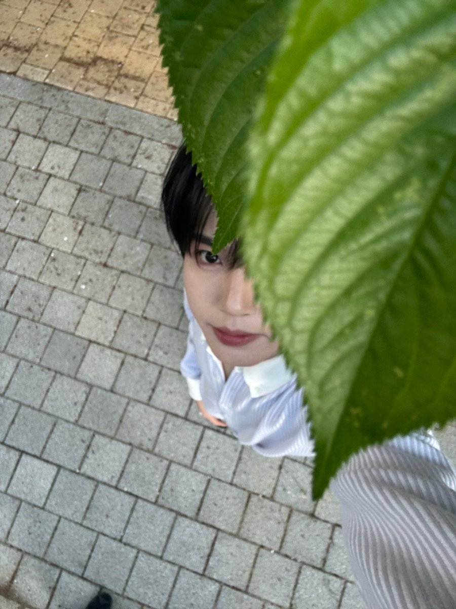 Jebe_Crafts's tweet photo. Spot the difference 🐰🌱
#제로베이스원 #ZEROBASEONE #ZB1 #ZB1fanart #Zeroni #yunini #HANYUJIN #YUJIN https://t.co/f3PFodUoLh