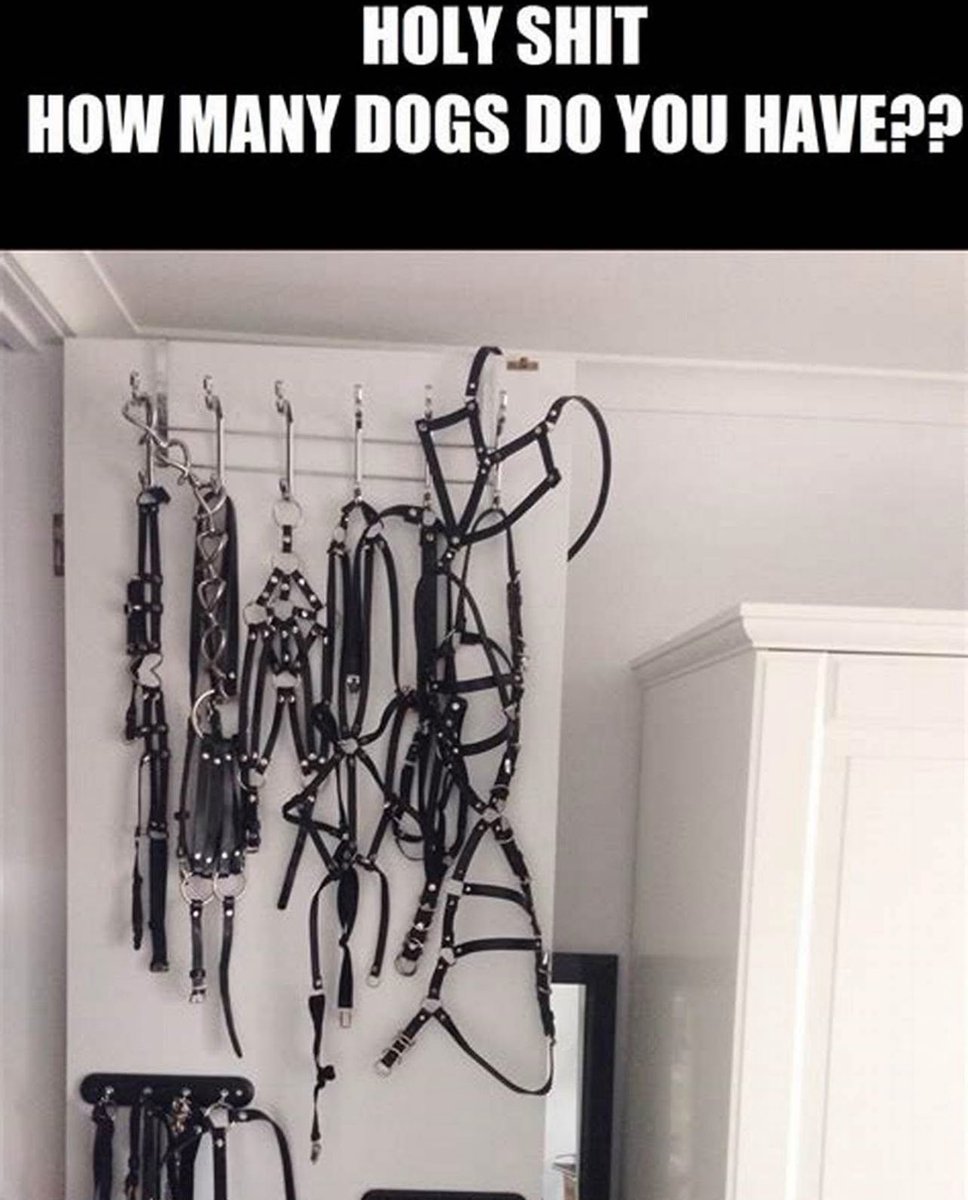 Nylonfootslave74 (@nylonfootslave2) on Twitter photo 