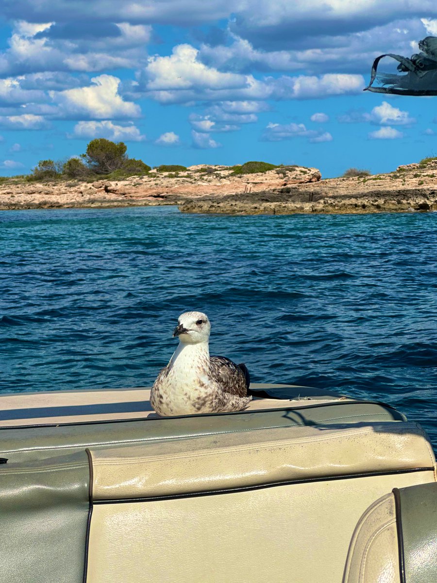 Cada día está peor el tema con los extras…..