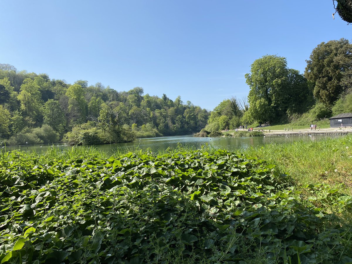 Here are some more photos I took in Arundel yesterday. Have a great evening ☀️