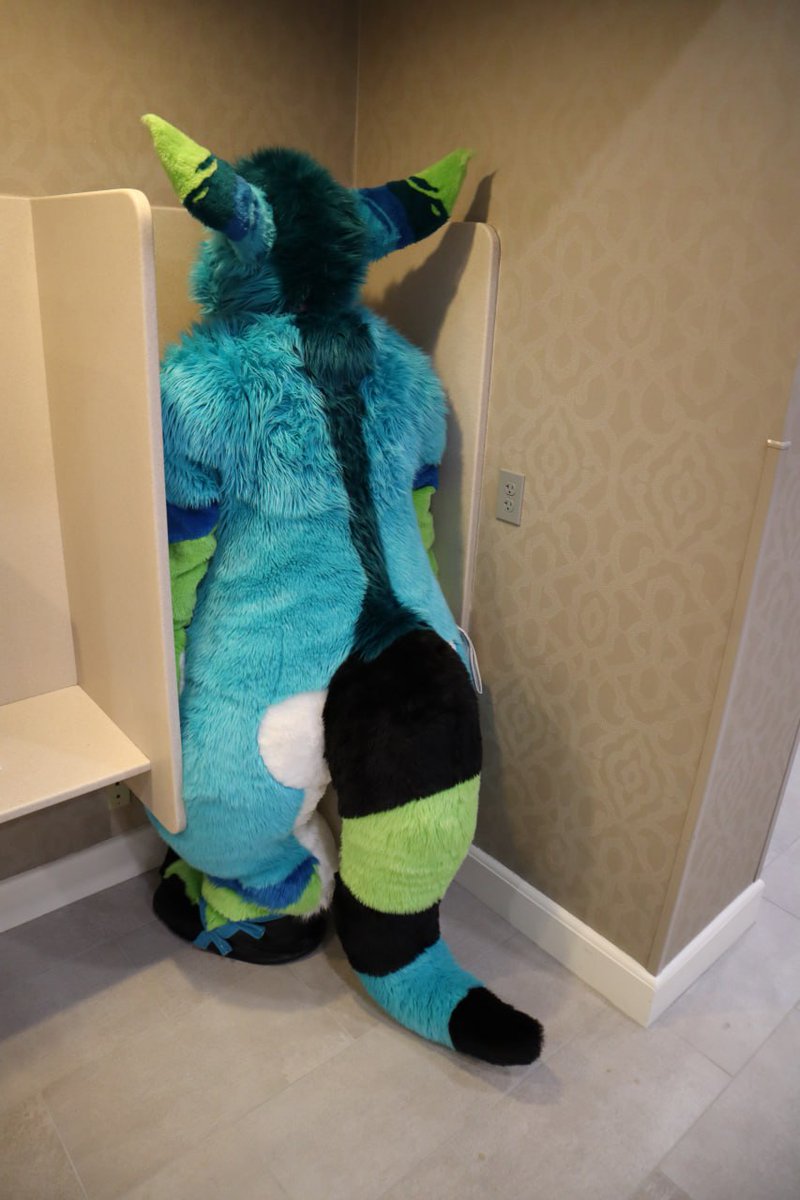 A little help? I'm stuck...

📷: @Flloyd_GrayBirb