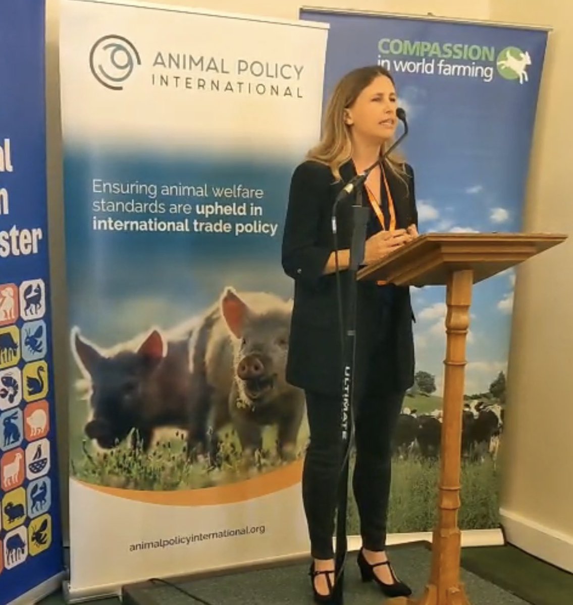 Animal Policy International (@animalpolicyint) on Twitter photo We had a fantastic parliamentary launch for our report today with @CIWF & <a href="/RSPCA_official/">RSPCA (England & Wales)</a>! Inspiring to hear cross-party support, with animal advocates and farming industry united on one message: if it’s too cruel to produce in the UK, it’s too cruel to import. #StopCruelImports We had a fantastic parliamentary launch for our report today with @CIWF & <a href="/RSPCA_official/">RSPCA (England & Wales)</a>! Inspiring to hear cross-party support, with animal advocates and farming industry united on one message: if it’s too cruel to produce in the UK, it’s too cruel to import. #StopCruelImports