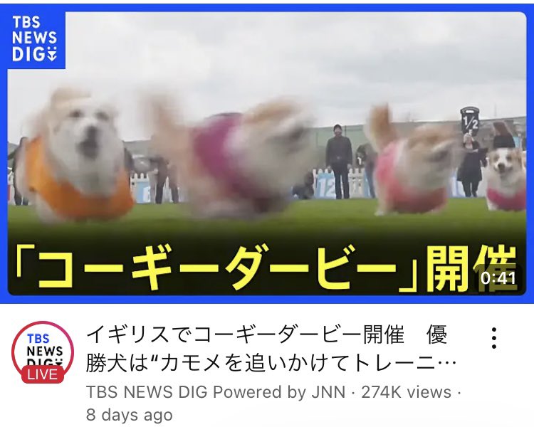 Taimaze_nikki's tweet photo. YouTubeのニュースチャンネル史上最高のサムネに出会ったわ https://t.co/J3ikFFAO0Y