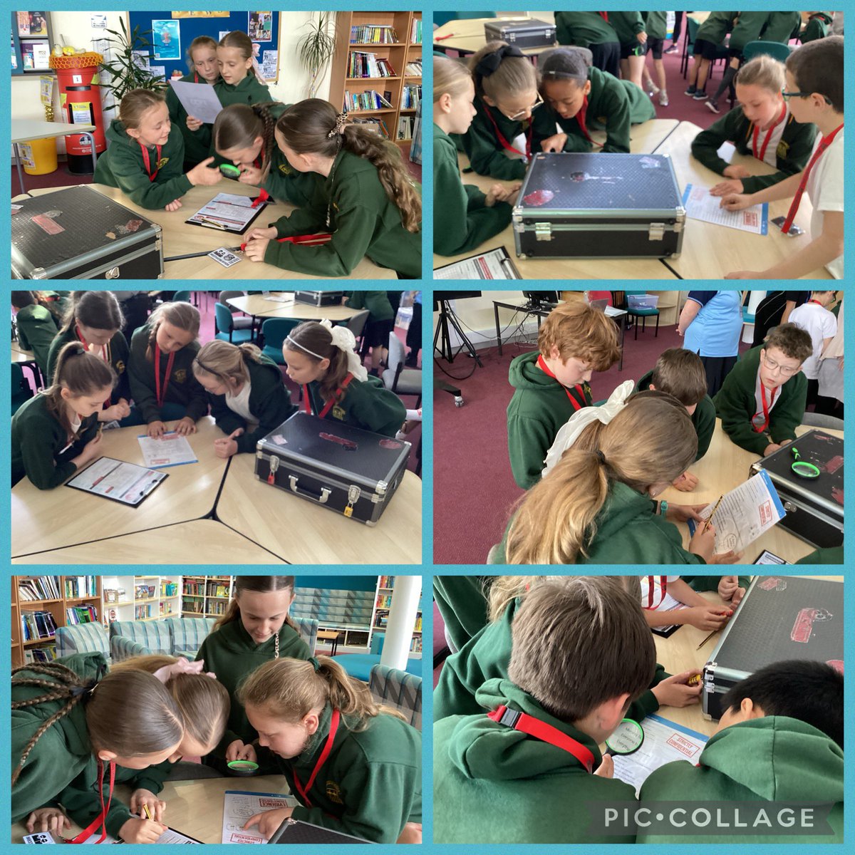 Carleton St Hilda's tweet media