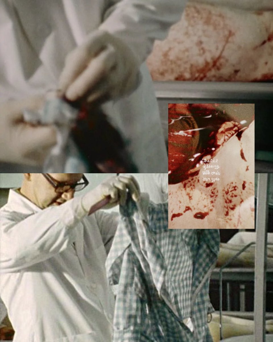 tjrsplusgore's tweet photo. On vous conseille 5 films à voir si vous avez aimé Rage de David Cronenberg ⬇️

🩸 Tetsuo - Shin’ya Tsukamoto
🩸 Possession - Andrzej Zulawski
🩸 The Act of Seeing with One's Own Eyes - Stan Brakhage
🩸 La nuit des fous vivants - George A. Romero
🩸 Frisson - David Cronenberg https://t.co/yOawgvH7pA