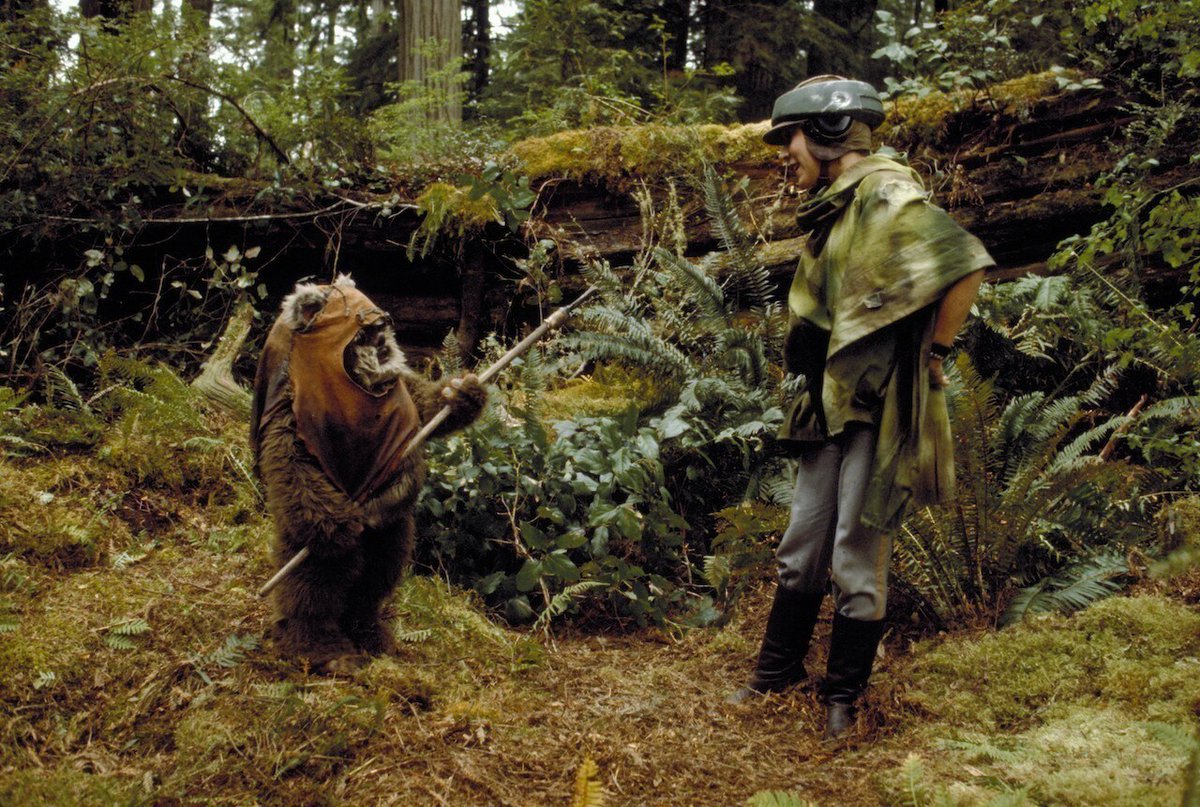 Star Wars Daily tweet media