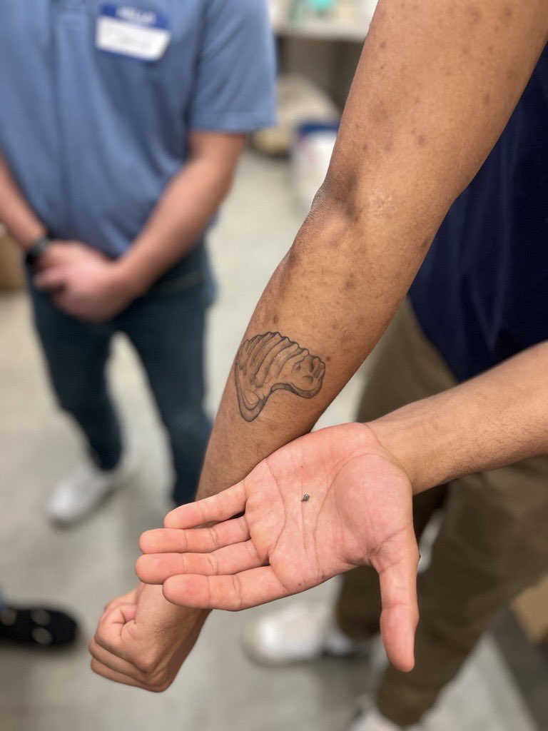 Teaching people about Multituberculates has been a little easier recently (tattoo-Filikomys; specimen-Meniscoessus [mesial end of a left p/4] )