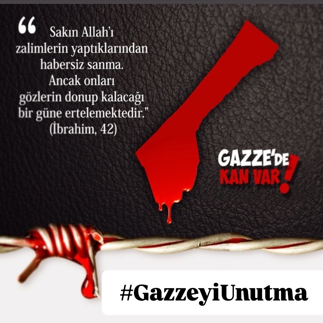 #Emperyalist
#Avrupa ve #Amerika
Demokrasi ve Özgürlükten bahsedemeyecek kadar 
güvenilmeyen,
İki yüzlü acımasız olduklarını,
Dünya'ya göstermişlerdir.
#Siyonist
#Katilİsrail'in
#Filistin'de
#Gazze'de yaptığı
Katliamlara
sessiz kalmışlar ve suça ortak olmuşlardır
#GazzeyiUnutma