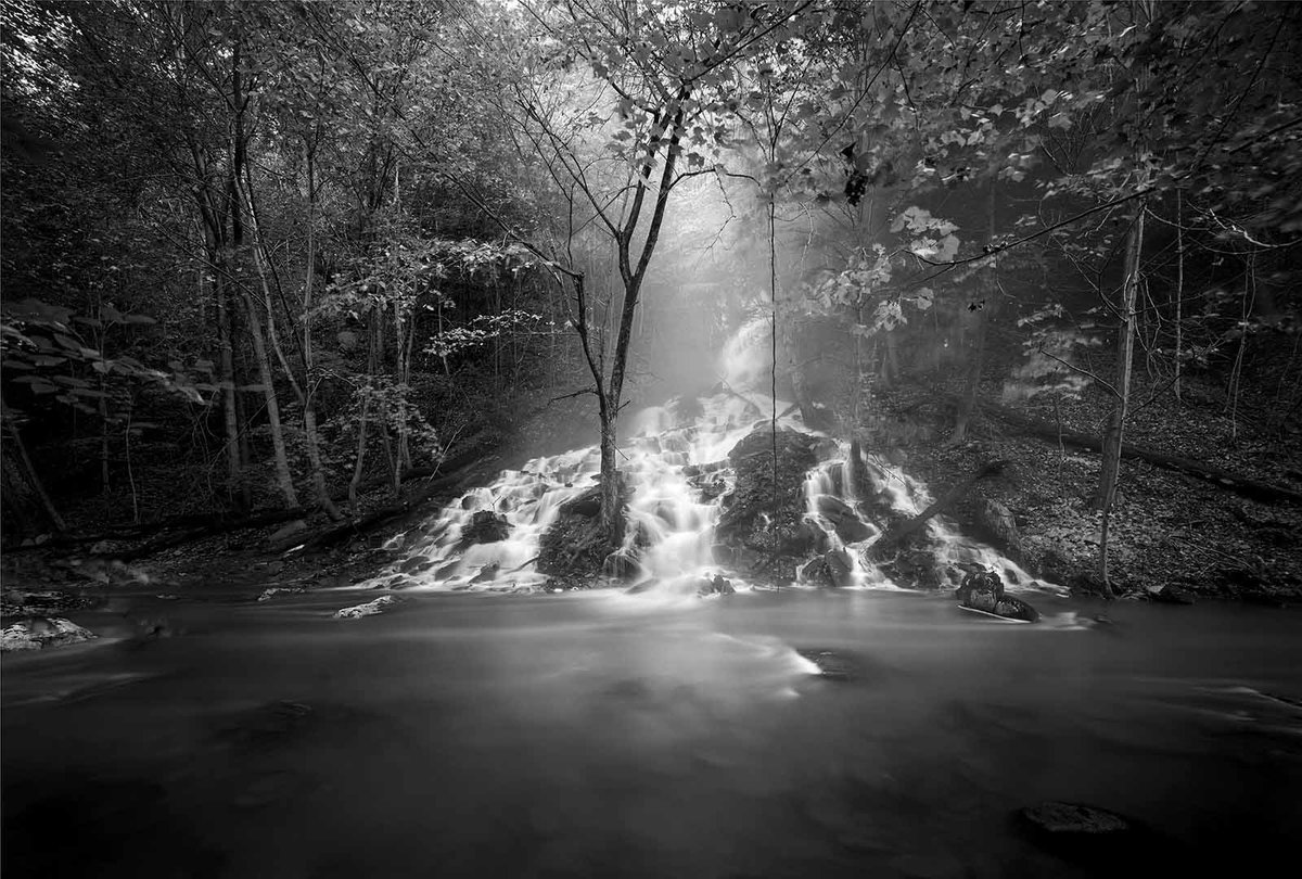 Clyde Butcher Photography tweet media