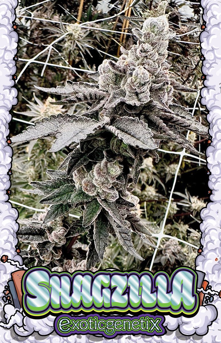 😈🎩😈 It’s a new week…. Let’s keep the Dripping Ain’t Eazy Strain Poster Pack Giveaways going!!! This week’s giveaway will be for the towering ice missiles of Shagzilla baby!!! Just another way of saying thank you to everyone who rocks with EG as hard as you do!!! Slide through