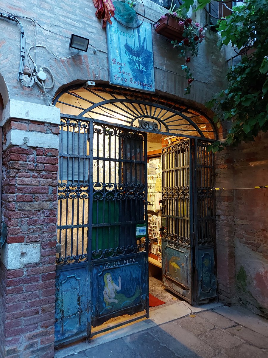 Xerses phus tweet media