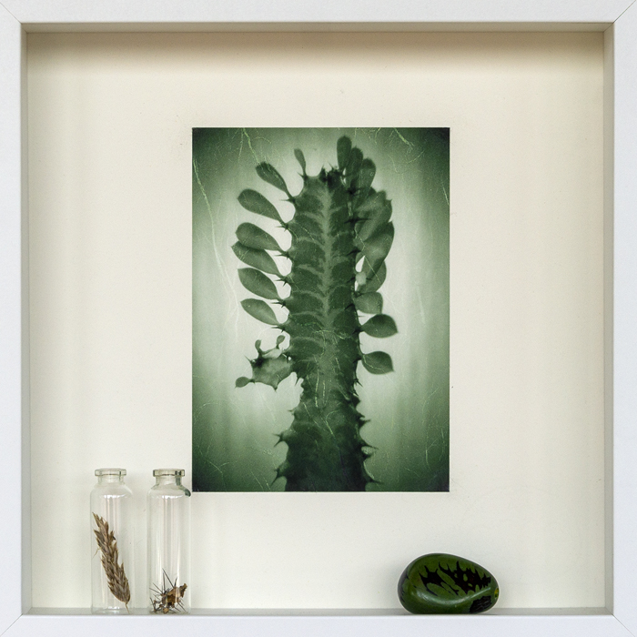 El carácter novohispano del México contemporáneo se manifiesta en sus fiestas populares.

La fiesta en la Nueva España | Jessica C. Locke <a href="/CELLColmex/">CELL Colmex</a> <a href="/ColmecasA/">Colmecas alumni</a> 
otrosdialogos.colmex.mx/la-fiesta-en-l…