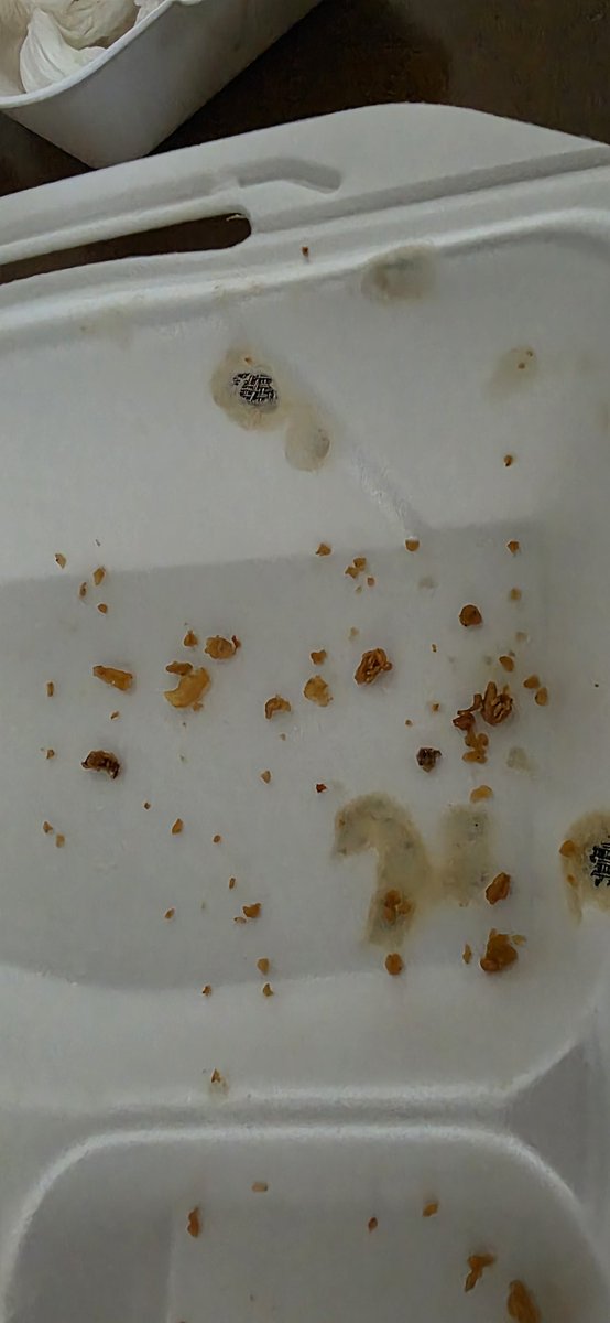 RealDavester's tweet photo. @SecKennedy why in 2025 are we still serving hot food in styrofoam containers?   This particular place serves just out of the fryer chicken in a styrofoam container and this is what it looks like when you get home.  Not good!  We need to go away from styrofoam! #nomorestyrofoam https://t.co/4AilGcMQwZ