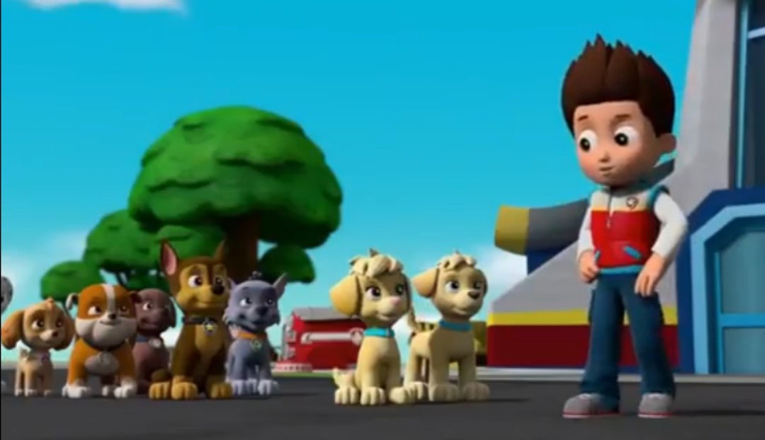 Daily Rocky💚:

#DailyRocky #PawPatrol  #Rocky