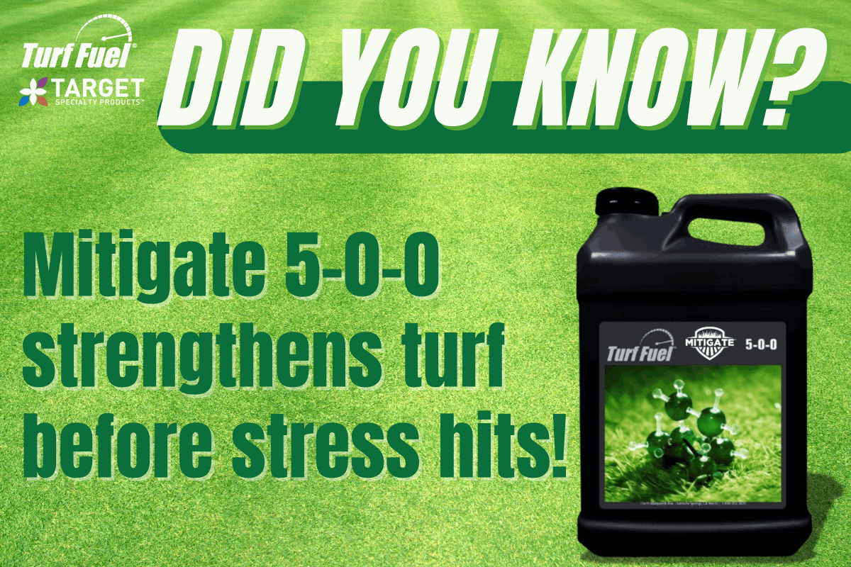 TurfFuel's tweet photo. The secret to unstoppable turf? Defense starts before the stress! Mitigate’s powerful stress-fighting compounds fortifies your turf for the challenges to come—Call us today! 🌱 https://t.co/B2I6EYgtb2 #TurfFuel #Mitigate https://t.co/oS9FZZKPhX