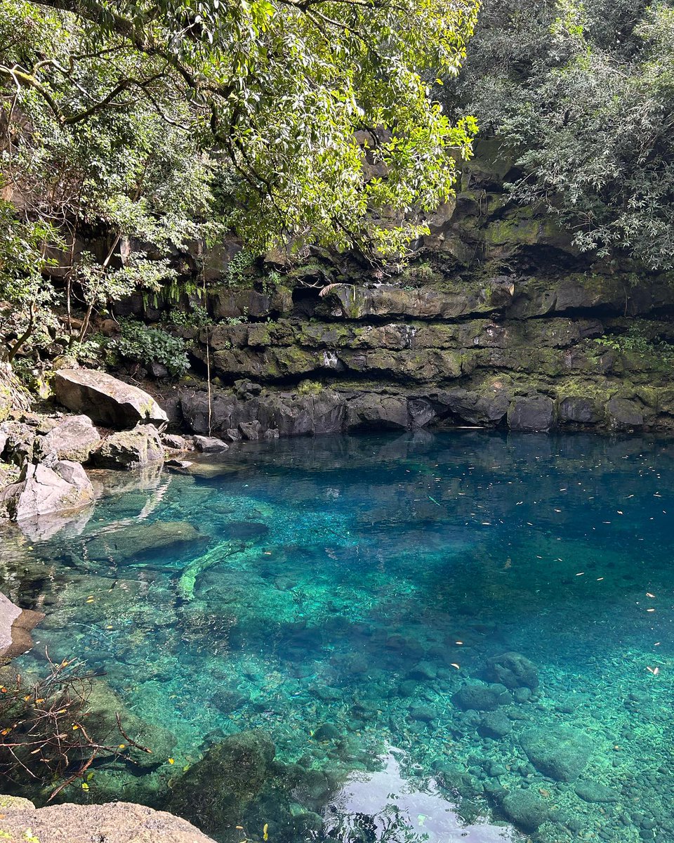 Nichée entre les champs de canne, Eau Bleue est l'une des cascades les plus secrètes de l’île. 🌊 Son eau turquoise et son décor sauvage en font un vrai trésor pour les aventuriers en quête d’évasion. 🌿

📷warrenna.liang / louise_fonclara

#EauBleue
