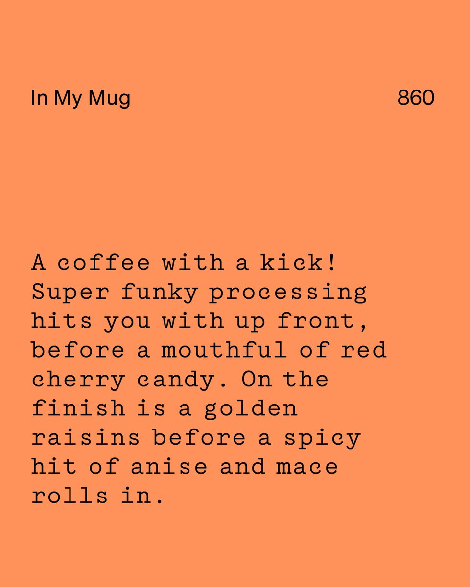 This week’s In My Mug is from Hua Chang, Thailand—grown at 1450m by Nawin Yaesorkoo. Funky, fruity, and bold, this Anaerobic Natural reflects the region’s cool climate and volcanic soil. Thai coffee is rising fast—don’t miss out. Subscribe and taste what’s next!